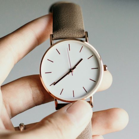 Comment traiter les punaises de lit ?